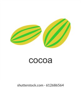 cocoa fruit
