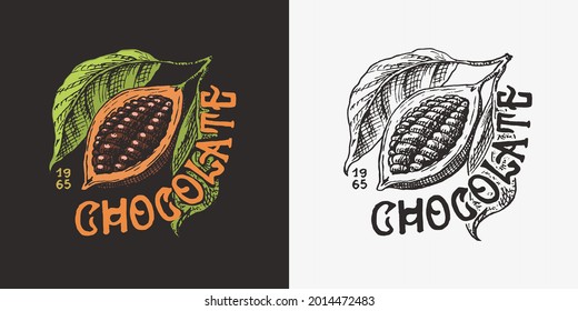 Cocoa fruit. Beans or Grains. Vintage badge or logo for t-shirts, typography, shop or signboards. Hand Drawn engraved sketch. Vector illustration.
