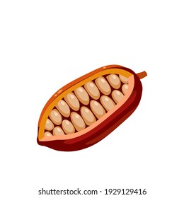Cocoa fruit with beans inside. Vector illustration cartoon flat icon isolated on white background.