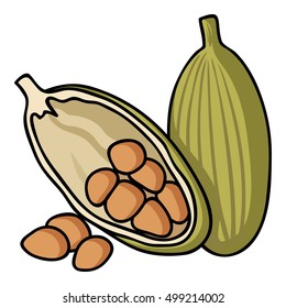 Cocoa fruit icon in cartoon style isolated on white background. Herb an spices symbol stock vector illustration.