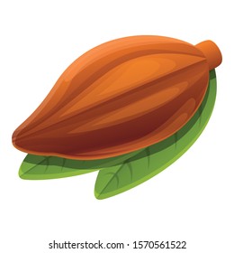 Cocoa fruit icon. Cartoon of cocoa fruit vector icon for web design isolated on white background
