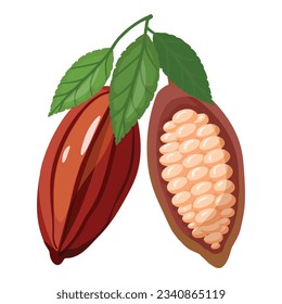 Cocoa fruit icon cartoon vector. Cacao bean. Plant tree