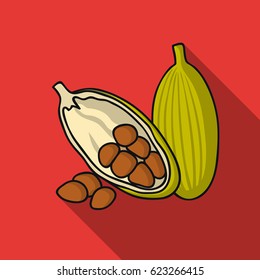 Cocoa fruit icon in flat style isolated on white background. Herb an spices symbol stock vector illustration.