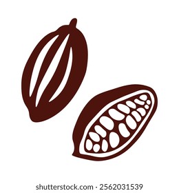 cocoa fruit illustration, brown outline, open pod, cocoa beans, chocolate ingredient, isolated on white.