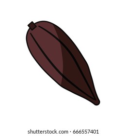 Cocoa fruit isolated