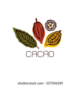 Cocoa fruit and leaves. Label. Hand drawn. Vector illustration.