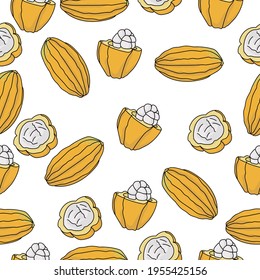 Patrón sin soldadura de frutos de cacao, fruto jugoso con cáscara brillante entera y mitad sobre una ilustración vectorial de fondo blanco
