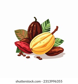 cocoa fruit vector 2d flat color white background