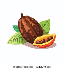 cocoa fruit vector 2d flat color white background