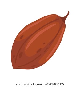 Cocoa fruit vector, an ingredient for making delicious chocolate.