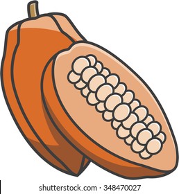 Cocoa fruits