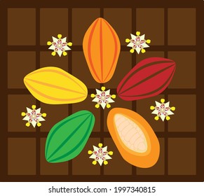 Cocoa fruits and flowers arrangement on chocolate bar background.