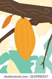 cocoa fruits on a branch, flat illustration