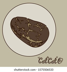 cocoa grain in a circle on a gray isolated background and the inscription cacao