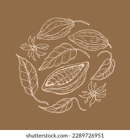 Cocoa. Hand drawing Cocoa beans, sketch of leaves, flowers and cocoa tree. Organic product. Doodle sketch for cafe, shop, menu. Parts of plants. For label, logo, emblem, symbol.Vector illustration