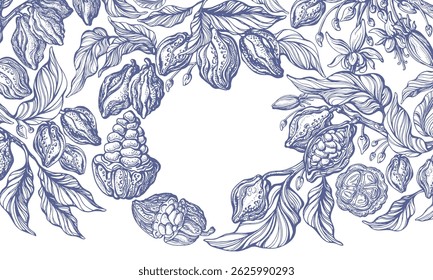 Cocoa hand drawn background. Organic chocolate. Pen art sketch, pencil texture. Vector branch, leaves, aroma fruit on transparent background. Engraving vintage template for food design