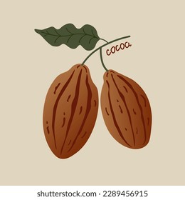 Cocoa. Hand drawn sketch Cocoa beans, leaves sketch and Cocoa tree. Organic product. Doodle sketch for café, shop, menu. Plant parts. For label, logo, emblem, symbol.Flat vector illustration