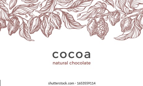 Cocoa harvest. Vector vintage background. Art hand drawn botanical tree, bean, tropical fruit, leaf. Organic sweet food, aroma drink, natural chocolate. Graphic antique card