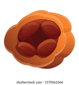 Cocoa icon. Cartoon of cocoa vector icon for web design isolated on white background