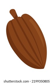 Cocoa icon. Healthy Food. Vector illustration