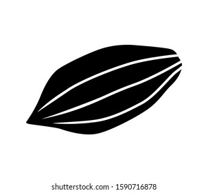 cocoa icon vector isolated, cocoa vector fruit illustration.