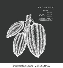 Cocoa illustration. Chocolate cocoa beans background. Vector hand drawn illustration on chalk board. Vintage style illustration.
