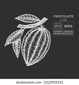 Cocoa illustration. Chocolate cocoa beans background. Vector hand drawn illustration on chalk board. Vintage style illustration.