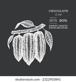 Cocoa illustration. Chocolate cocoa beans background. Vector hand drawn illustration on chalk board. Vintage style illustration.