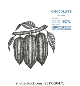 Imagen de cacao. El fondo de los granos de cacao de chocolate. Ilustración dibujada a mano por vectores. Ilustración de estilo vintage.