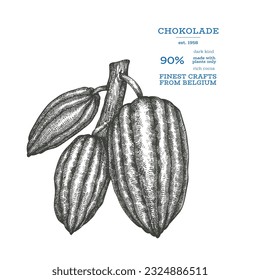 Cocoa image. Chocolate cocoa beans background. Vector hand drawn illustration. Vintage style illustration.