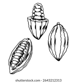cocoa line art with separate white background color