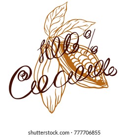 cocoa logo with lettering hand-drawn in retro styles, cocoa beans, cocoa leaves
