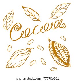 cocoa logo with lettering hand-drawn in retro styles, cocoa beans, cocoa leaves
