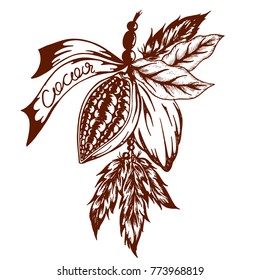 a cocoa logo in retro styles painted by hand. cocoa beans in bundles with feathers
