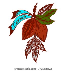a cocoa logo in retro styles painted by hand. cocoa beans in bundles with feathers

