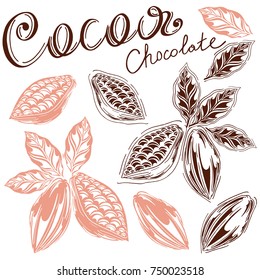 cocoa logo in styles free hands, bean,leaves, hand-drawn, white background, retro style, cocoa fruits