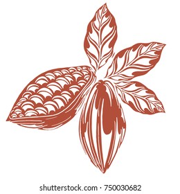 cocoa logo in styles free hands, bean, leaves, hand-drawn, white background, retro style, cocoa fruits