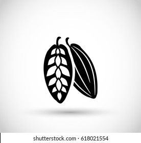 Cocoa nut icon vector
