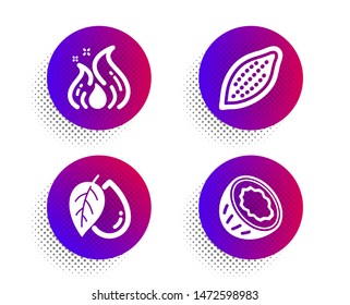 Cocoa nut, Mineral oil and Fire energy icons simple set. Halftone dots button. Coconut sign. Vegetarian food, Organic tested, Flame. Vegetarian nut. Nature set. Classic flat cocoa nut icon. Vector