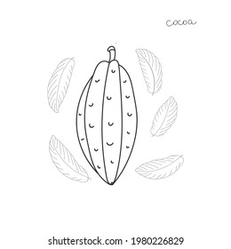 cocoa outline with leafes vector illustration