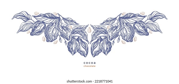 Cocoa pattern. Vector engraving illustration. Organic chocolate. Tropical aroma fruit, texture leaves. Art hand drawn print, retro background