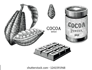 Cocoa plant and product hand draw vintage engraving style isolated on white background