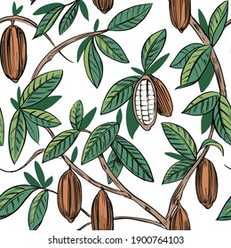 Patrón sin fisuras de la planta de cacao. Grano de cacao. Ilustración del vector
