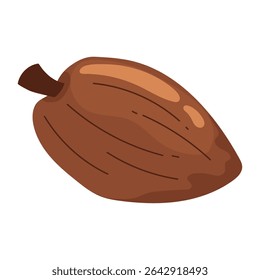 Cocoa pod for chocolate. Vector illustration