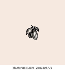 Cocoa pod isolated icon flat vector design.