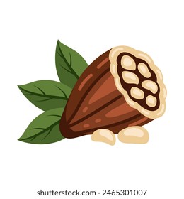 cocoa pod and leaf nature plant