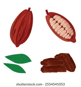 Cocoa pod with leafs, half sliced cacao pod with cacao beans inside and dark chocolate chunks. Logo. Vector illustration