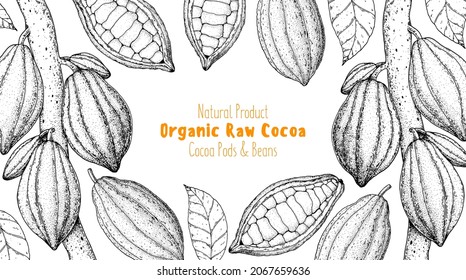 Cocoa pods sketch, cocoa tree. Vector illustration. Super food frame. Chocolate cooking and cacao for chocolate, sketch illustration. Healthy food, design elements. Hand drawn, package design.