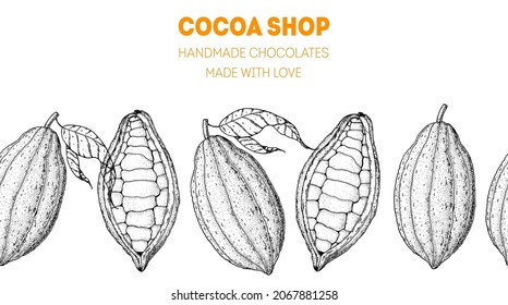 Cocoa pods. Vector illustration. Super food frame. Chocolate cooking and ingredients for chocolate, sketch illustration. Healthy food, design elements. Hand drawn, package design.