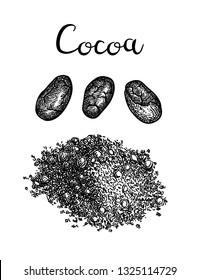 Cocoa powder. Ink sketch isolated on white background. Hand drawn vector illustration. Retro style. 